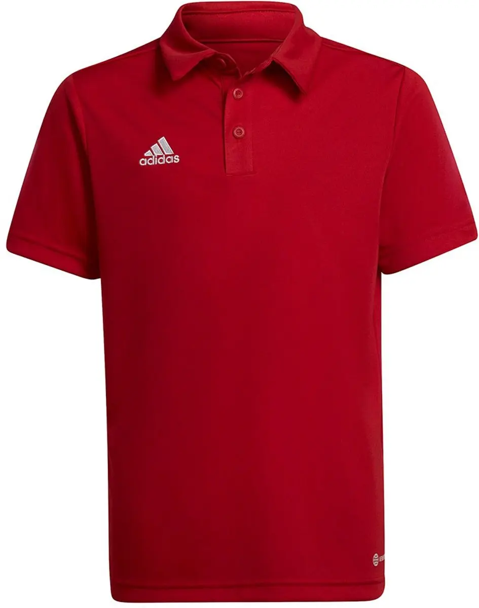 Adidas Entrada 22 Poloshirt