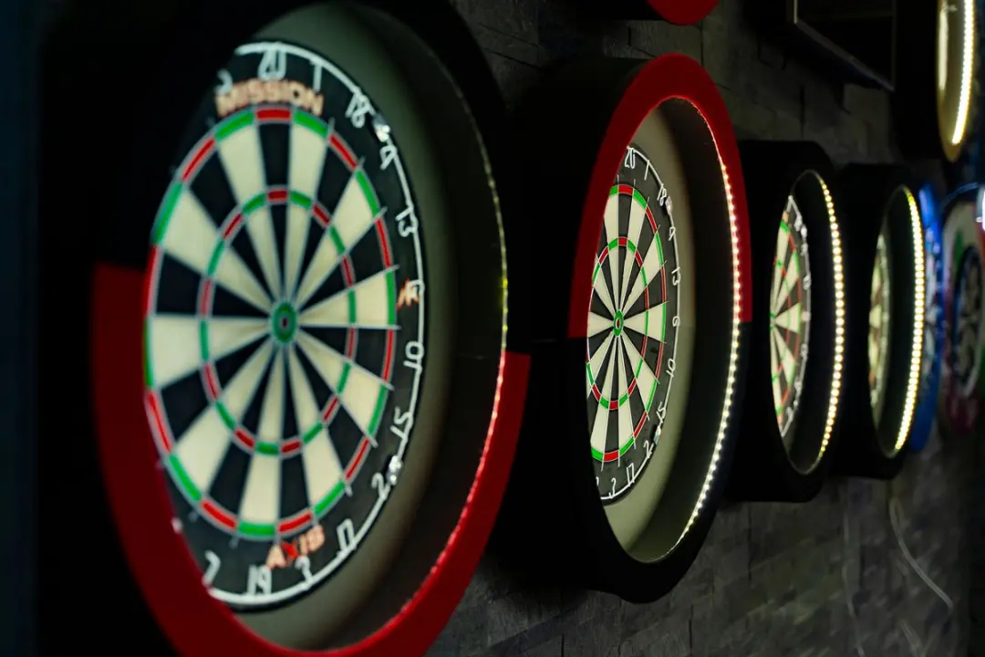 Lena Dartboard Lighting Basic DT00001 - Zwart