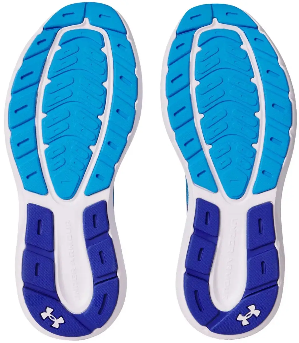 Under Armour Charged Rogue 5 Hardloopschoenen - Blauw - EU 44
