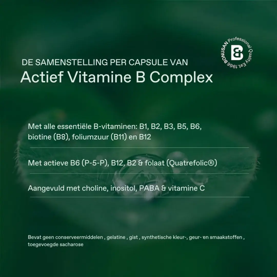 Bonusan Actief Vitamine B12 120 Complex - Zuigtabletten
