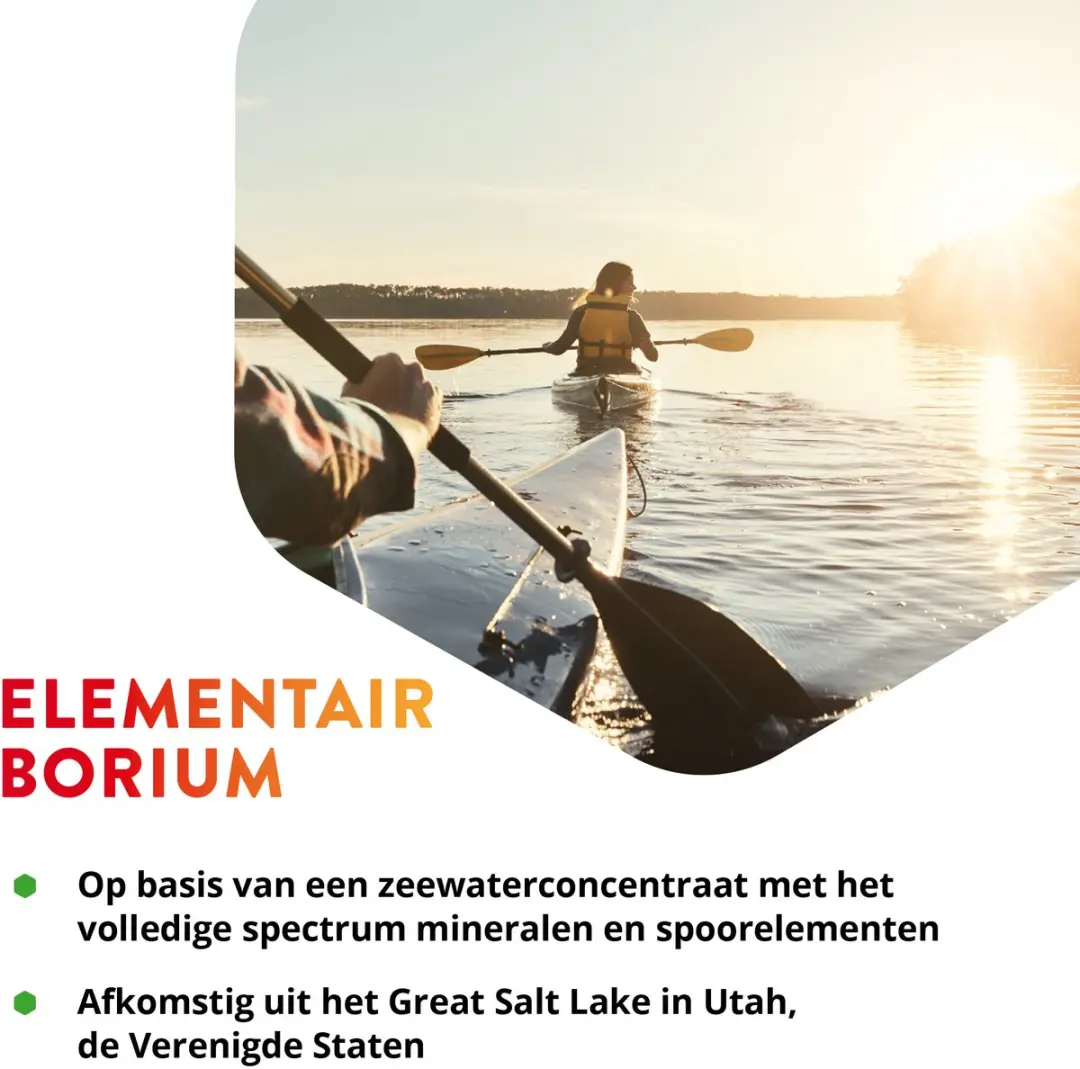 Vitals Elementair Borium 3mg - 60ml
