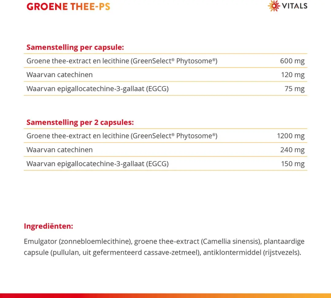 Vitals Groene Thee-PS Capsules 60 Stuks - Cafeïnevrij