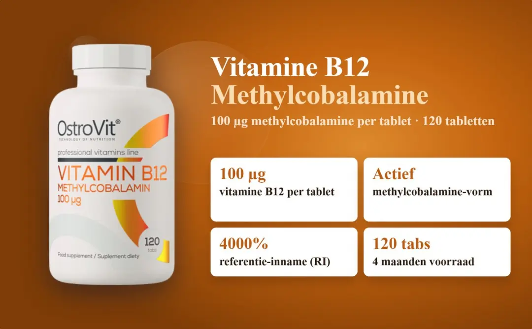 OstroVit Vitamine B12 Methylcobalamine 100µg - 120 Tabletten