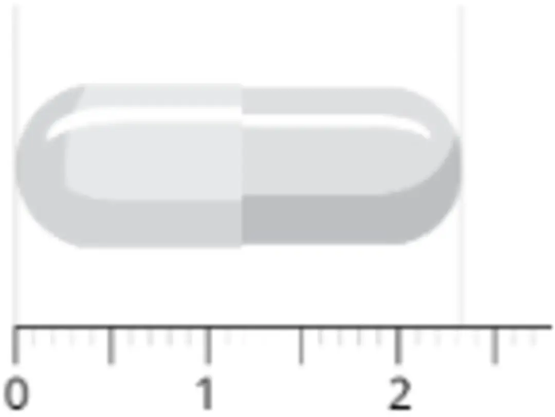 Vitals Magnesium Biologisch 100mg - 60 Capsules