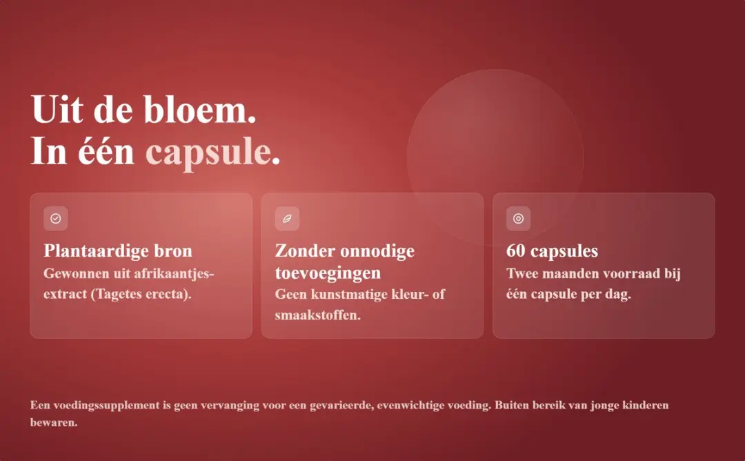 OstroVit Luteïne + Zeaxanthine 60 Capsules