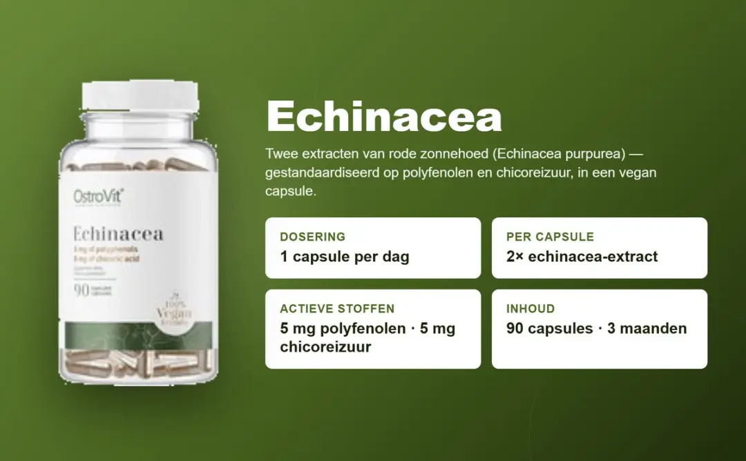 OstroVit Echinacea 200mg Vegan Capsules - 90 Stuks