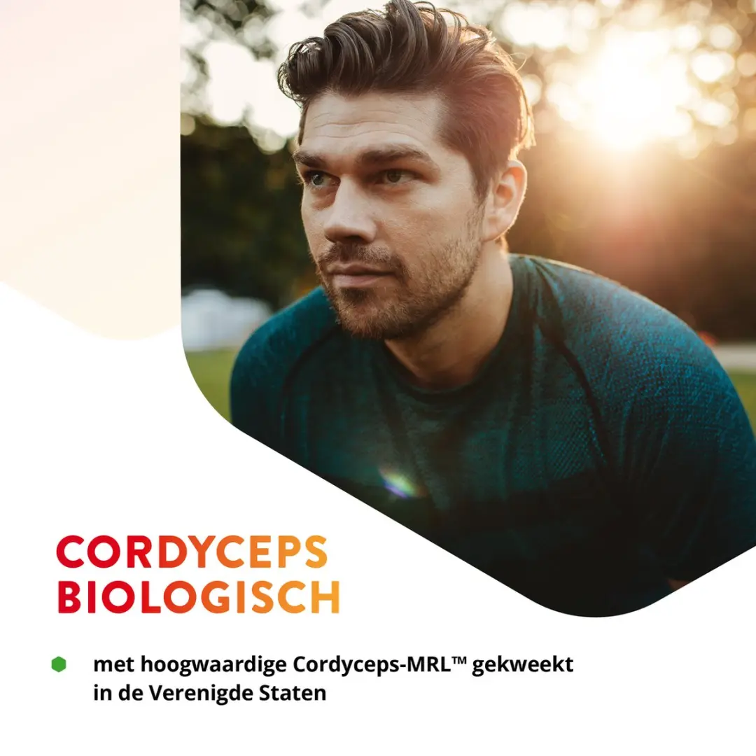 Vitals Cordyceps Biologisch 800mg - 60 Capsules