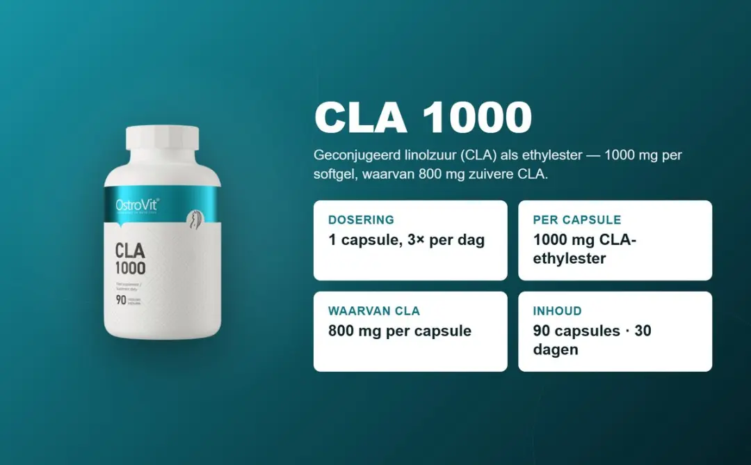 OstroVit CLA 1000mg Softgels - 90 Stuks