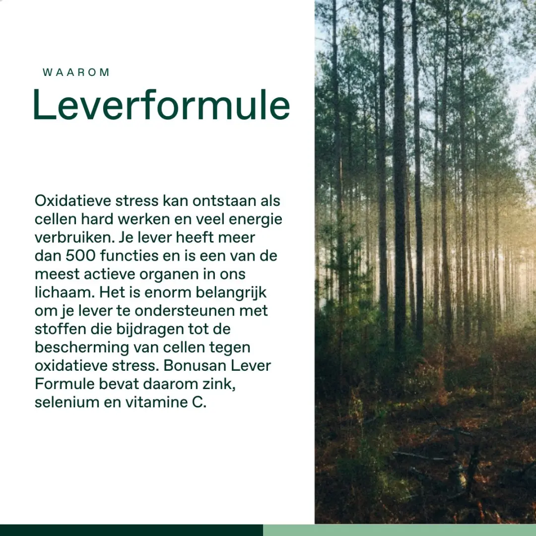 Bonusan Lever Formule 60 Tabletten - Mariadistel/Paardenbloem/Artisjok