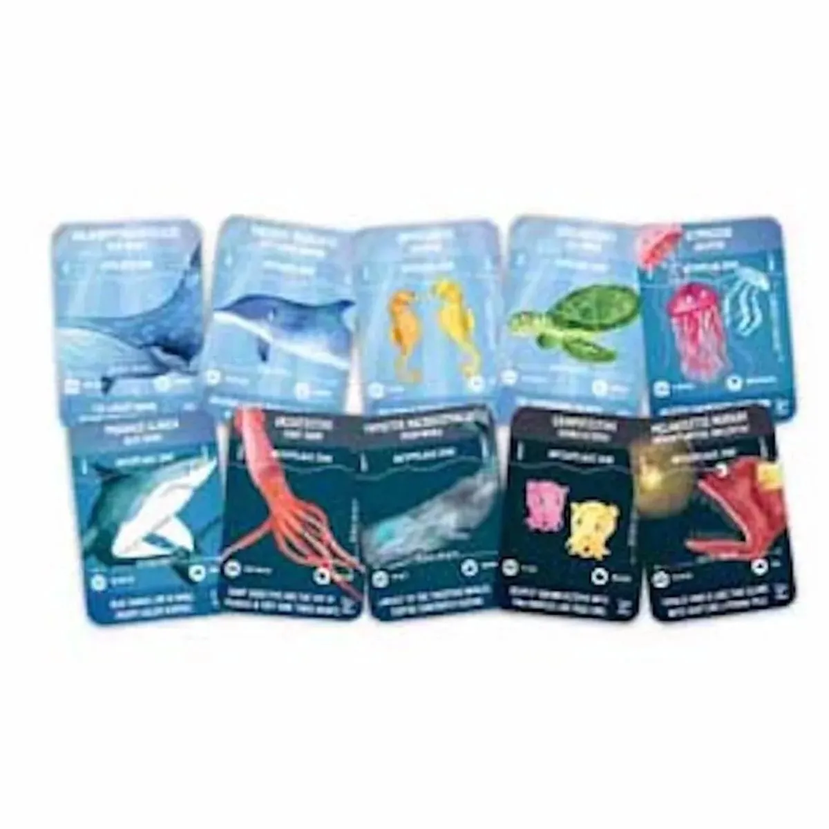 Hape Oceaanleven Puzzel 210 Stuks - Veelkleurig