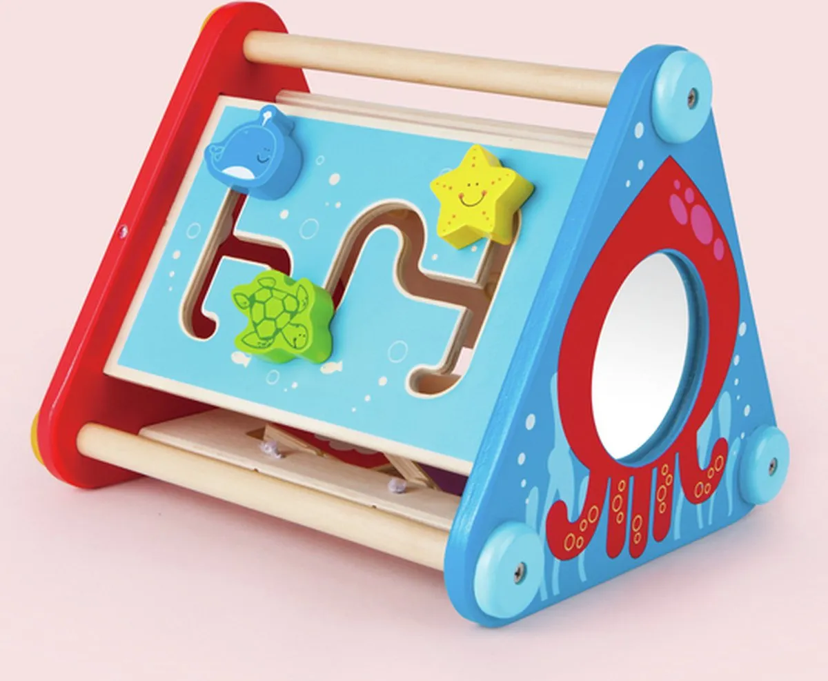 Hape Activiteitendoos 404498