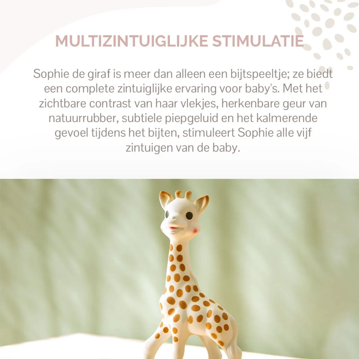 Sophie de Giraf Bijtspeeltje - Natuurlijk Rubber - 17cm - Beige/Bruin