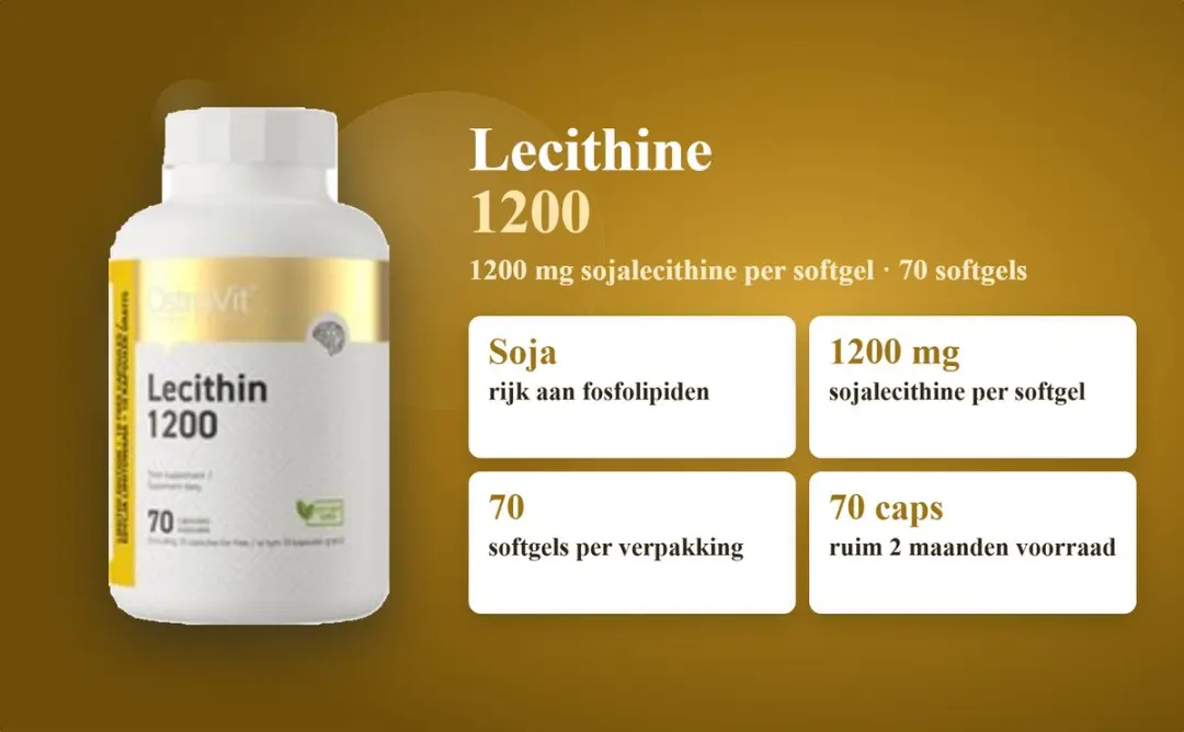 OstroVit Lecithine 1200mg - 70 Softgels