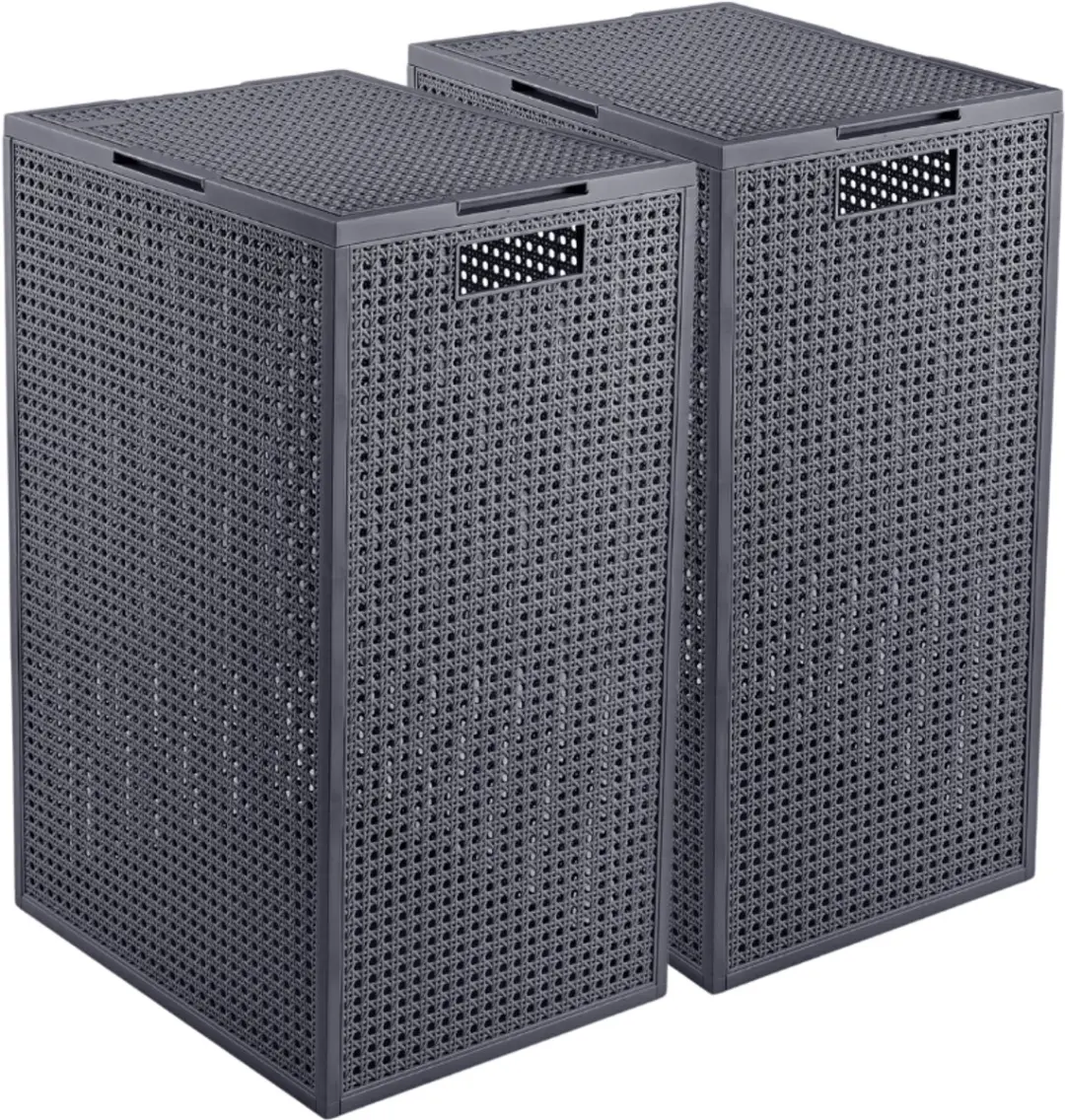 Curver Kaya Wasmand met deksel 60L - 2 Stuks - Antraciet
