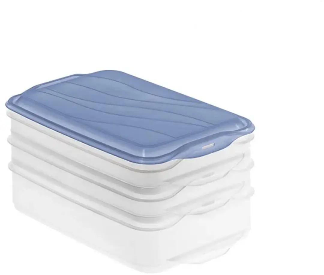 Rotho Rondo Vleeswarendoos 1.35L - 3 Stuks