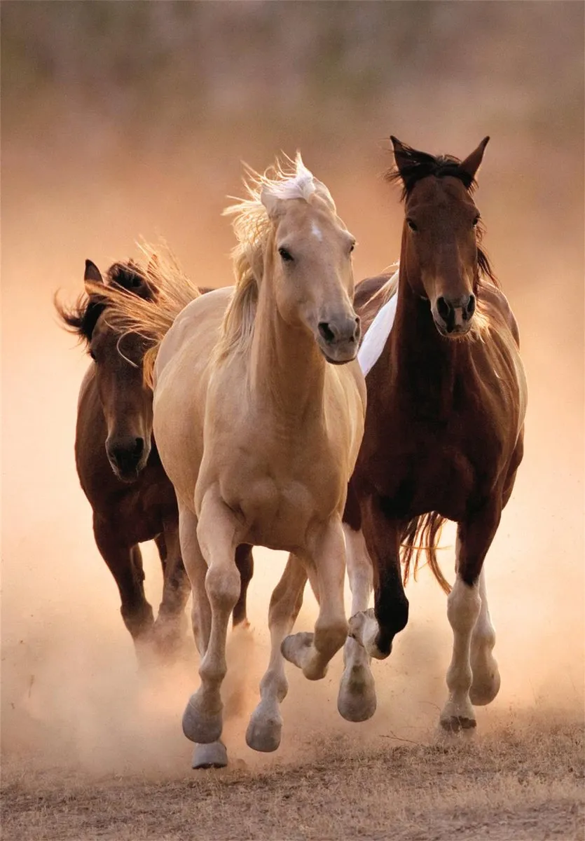Clementoni Rennende Paarden Puzzel 1000 Stuks - Blauw