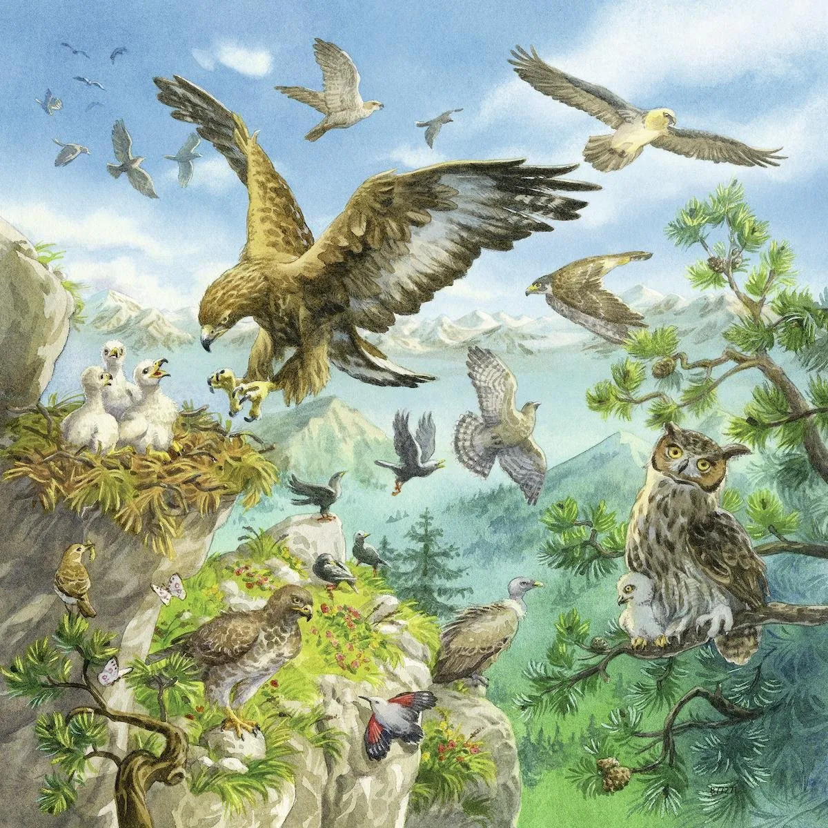 Ravensburger Dieren in hun Leefomgeving Puzzels - 3x49 Stuks - Multicolor - afbeelding 3 van 6