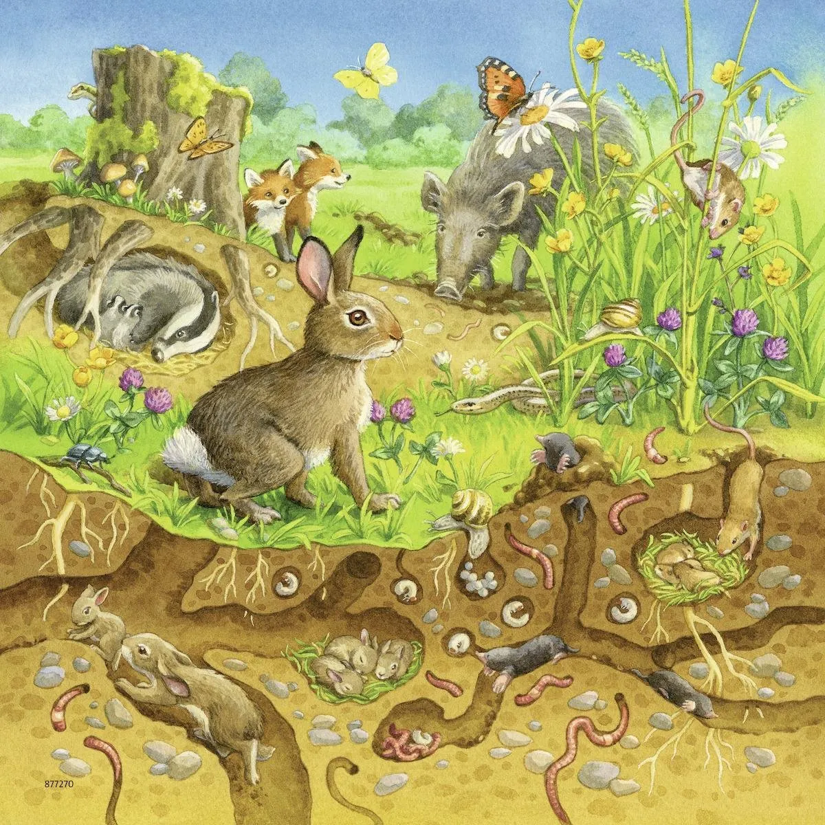 Ravensburger Dieren in hun Leefomgeving Puzzels - 3x49 Stuks - Multicolor - afbeelding 2 van 6