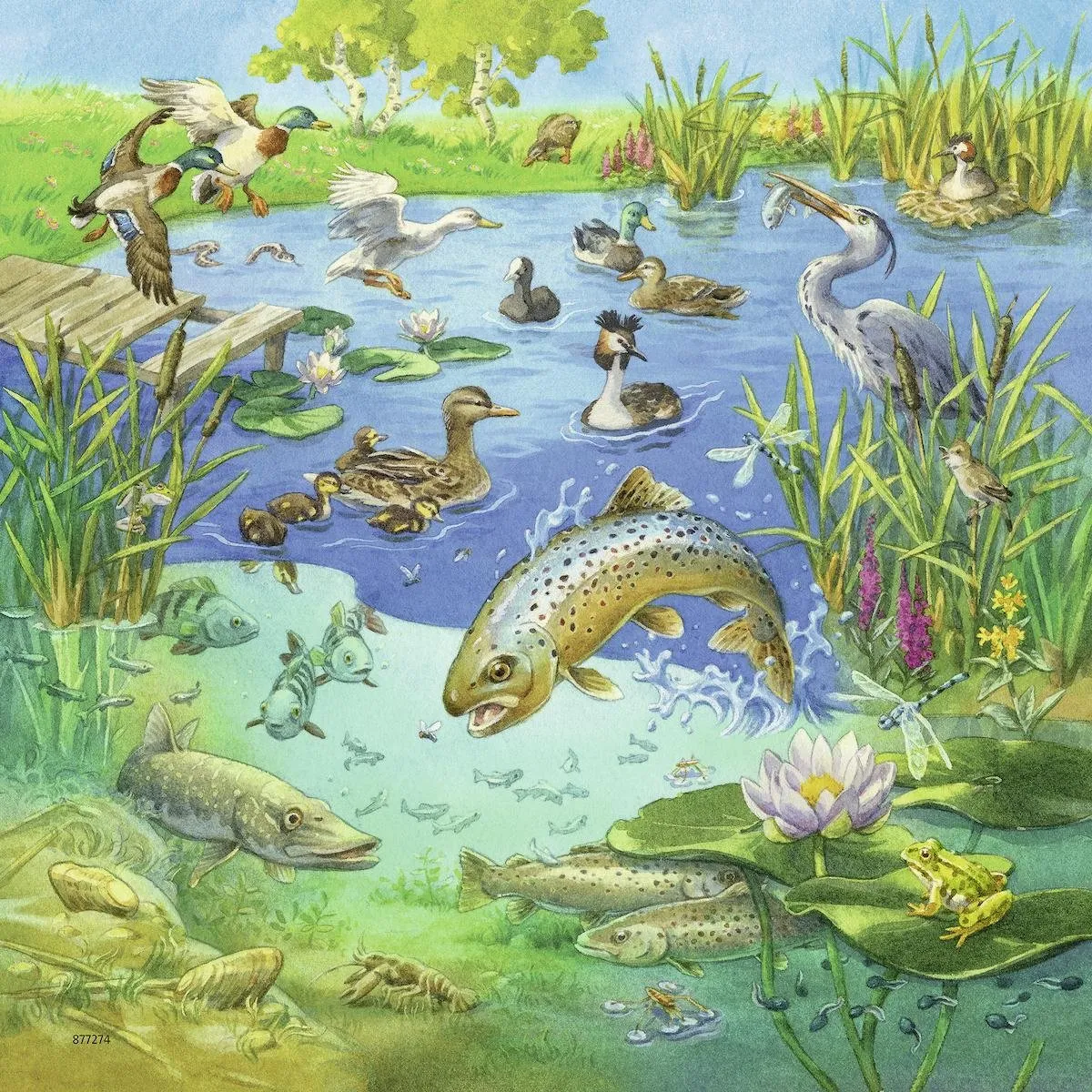 Ravensburger Dieren in hun Leefomgeving Puzzels - 3x49 Stuks - Multicolor - afbeelding 4 van 6