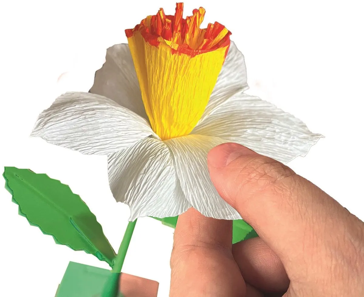 Clementoni iDea Geurende Bloemen Maken Narcis - 2 Stuks
