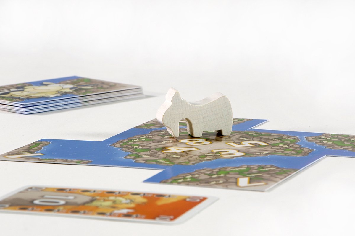 999 Games - Bokken Schieten - Kaartspel - Origineel slagenspel - Tactisch spel - Gezelschapsspel - Klein cadeautje - spelregels in NL, EN en FR