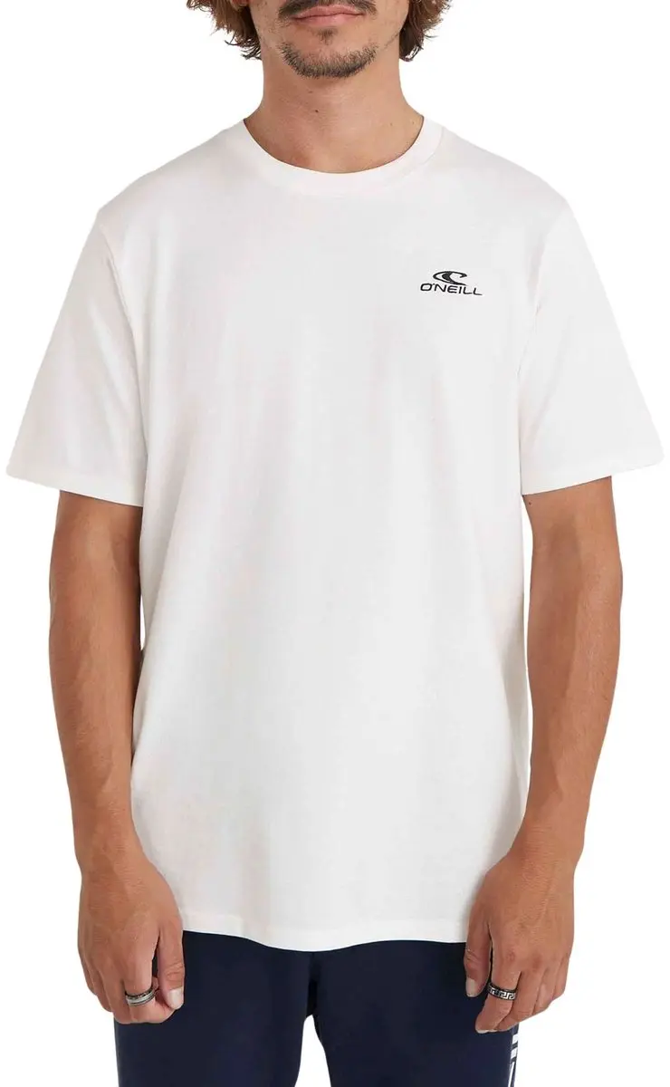 O'Neill Small Logo Shirt Heren