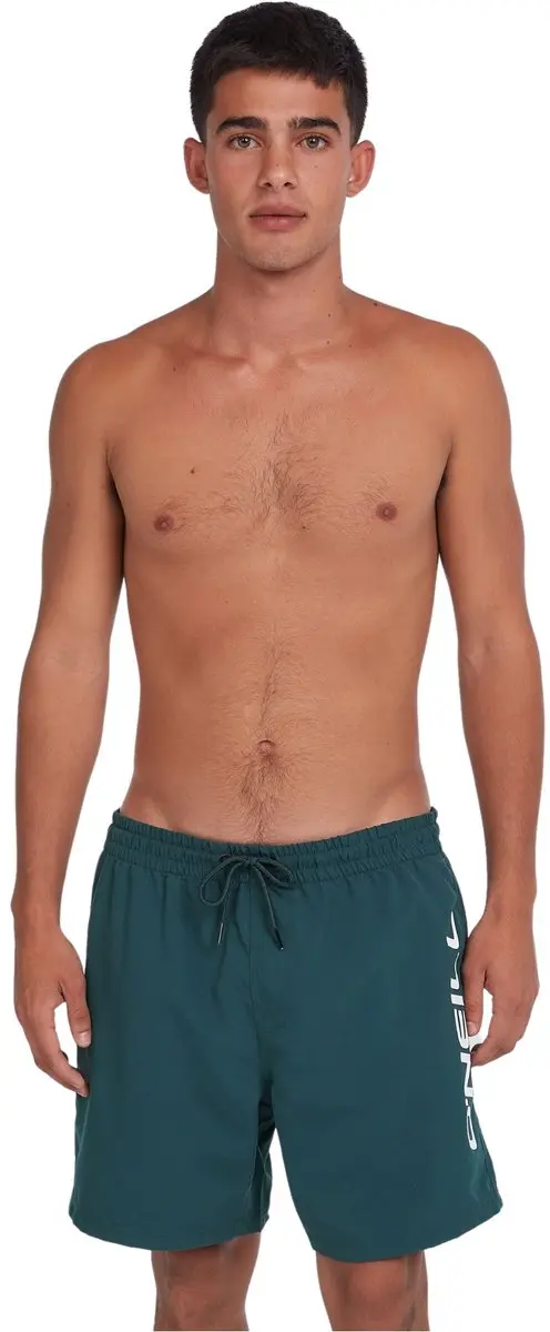 O'Neill Heren Cali 16" Zwemshort - Alma Steel Multicolor