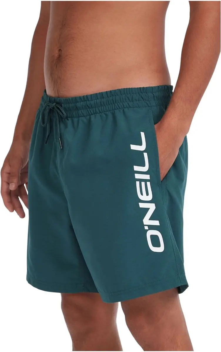 O'Neill Heren Cali 16" Zwemshort - Alma Steel Multicolor