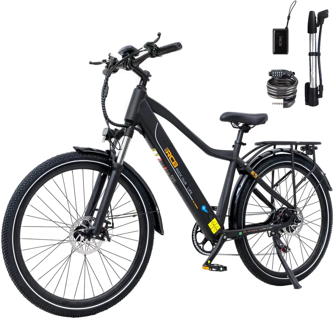 RCB Elektrische Fiets 250W 36V 13Ah