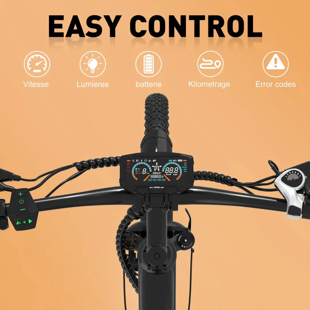 RCB Elektrische Fiets 250W 36V 13Ah - 7 Versnellingen - Zwart