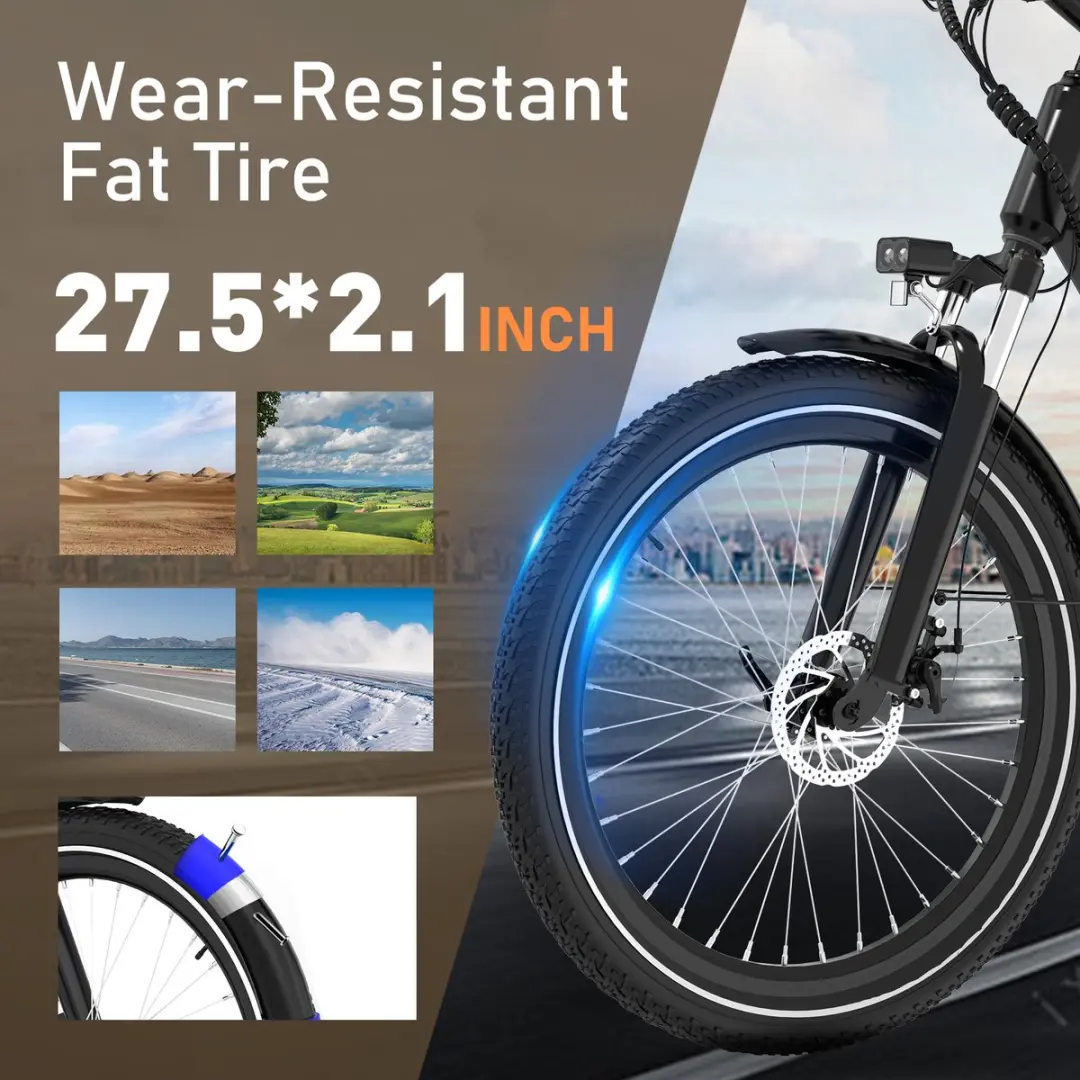 RCB Elektrische Fiets 250W 36V 13Ah - 7 Versnellingen - Zwart