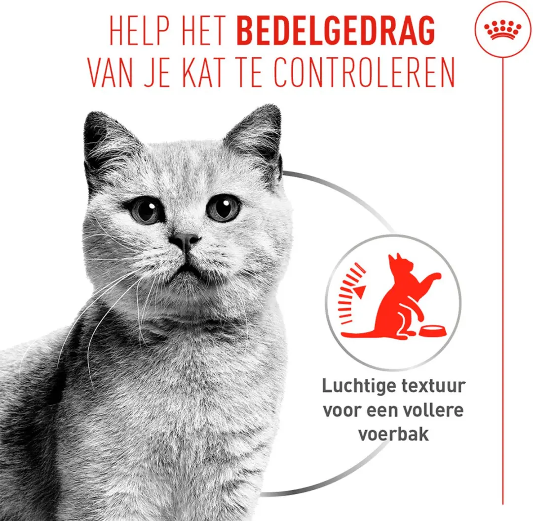 Royal Canin Appetite Control AirLift Mousse