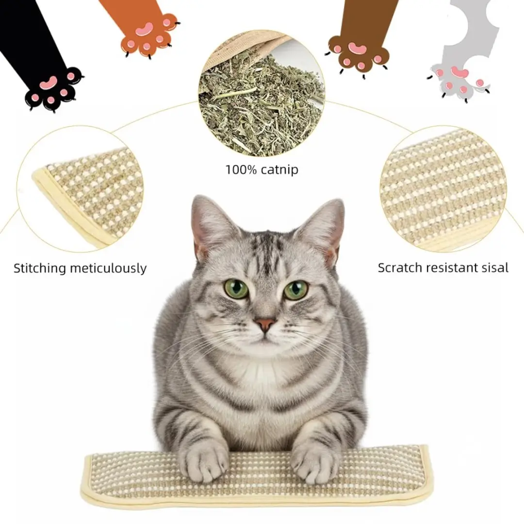 ECTEATOY Kattenkruid Kussen - 34x9,5cm - Beige/Wit