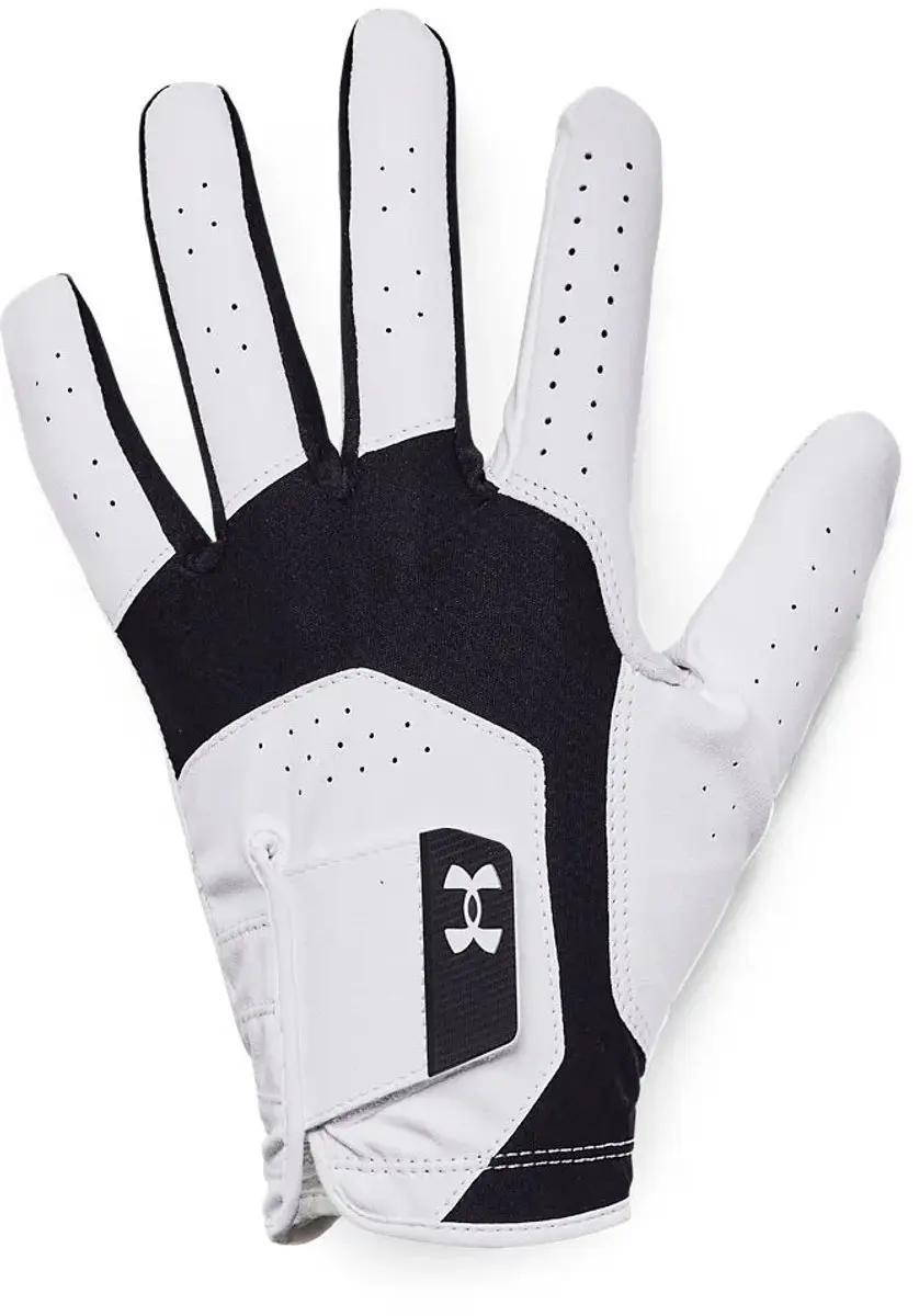Under Armour Heren Golfhandschoen Iso Chill - XXL - Wit/Zwart