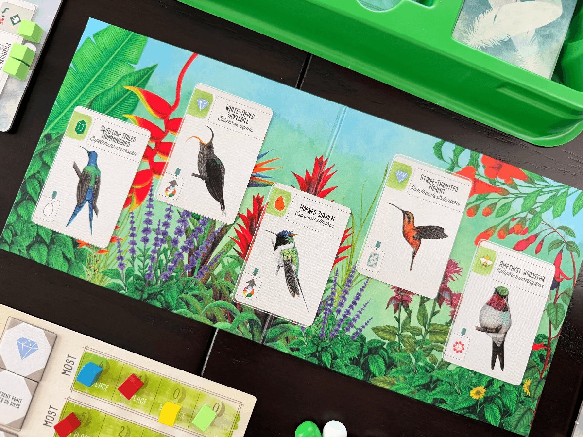 999 Games - Wingspan uitbreiding: Midden- en Zuid-Amerika Bordspel