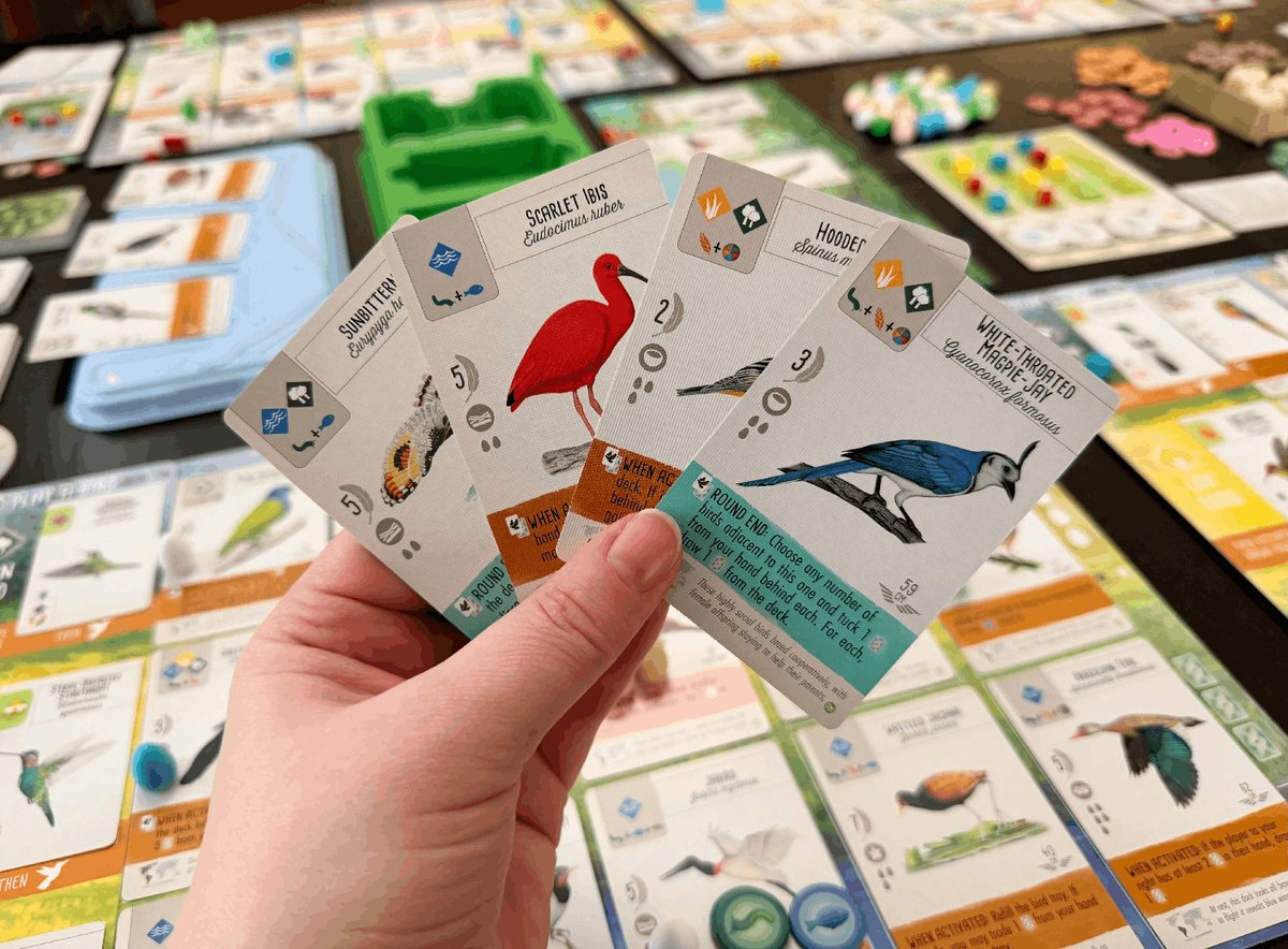 999 Games - Wingspan uitbreiding: Midden- en Zuid-Amerika Bordspel