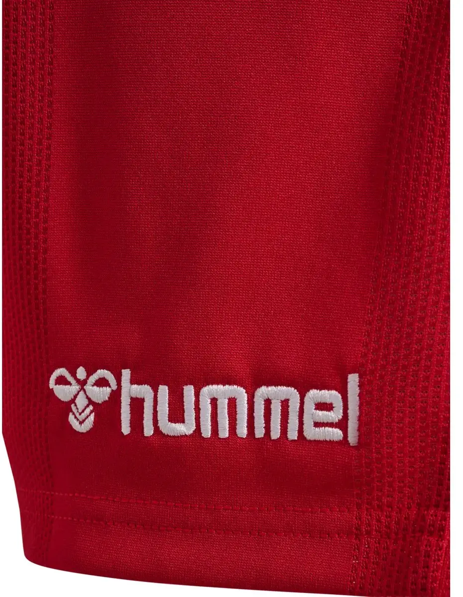 Hummel Korte Woning Denemarken Coupe du Monde 2026 Short - S - Tangorood