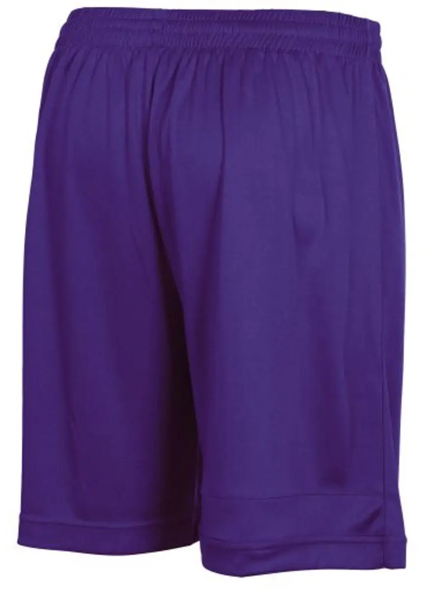 Stanno Field Short Sportbroek S - Paars