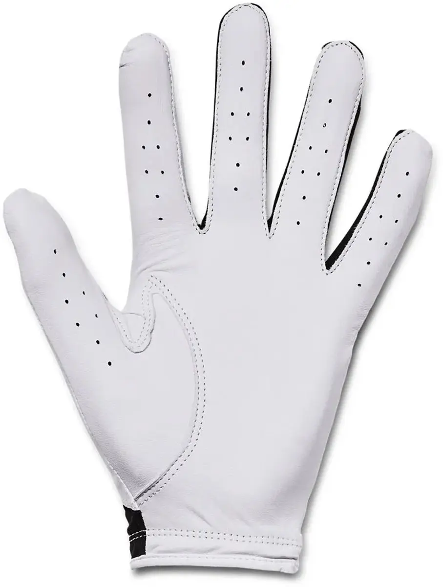Under Armour Heren Golfhandschoen Iso Chill Rechterhandschoen M/L - Wit/Zwart