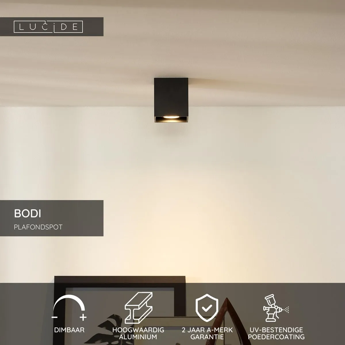 Lucide BODI Plafondspot GU10 - Zwart