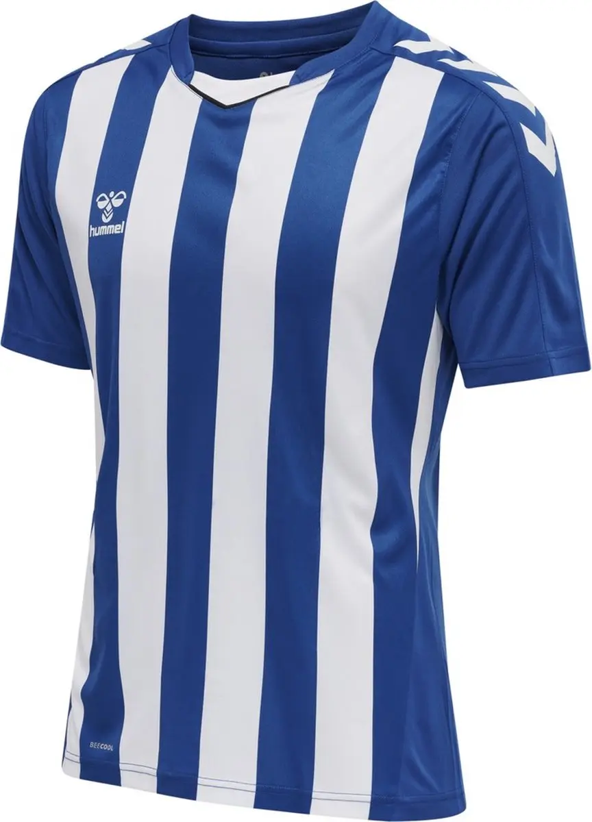 Hummel HMLcore XK Striped Jersey Kortarm
