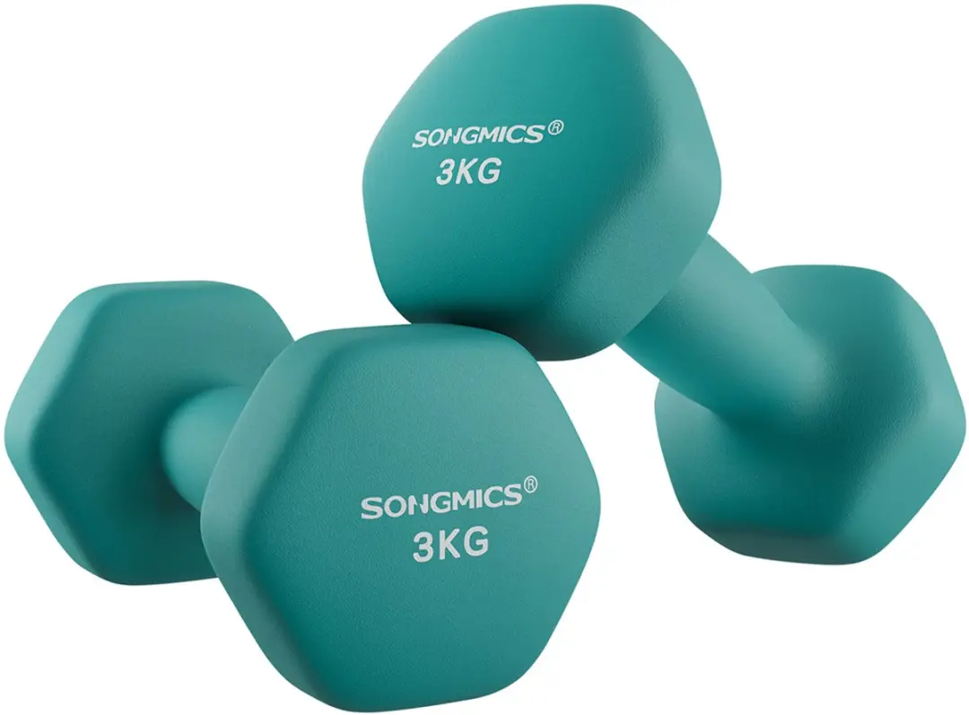 Songmics Halters Set 2x 3kg