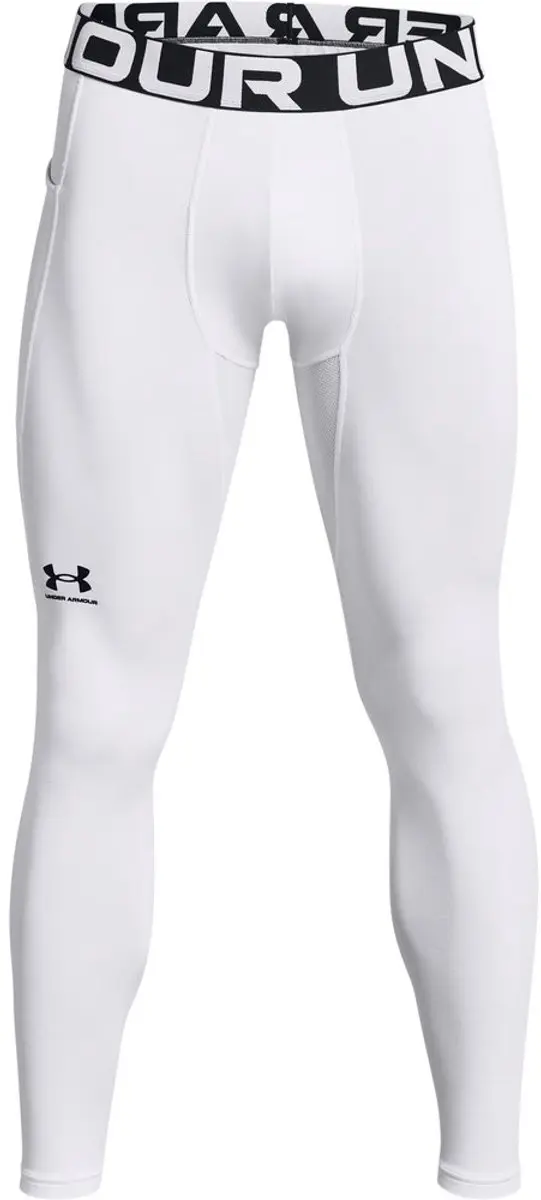Under Armour ColdGear Leggings 1366075