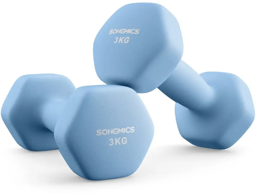 Songmics Dumbbells 2x3kg