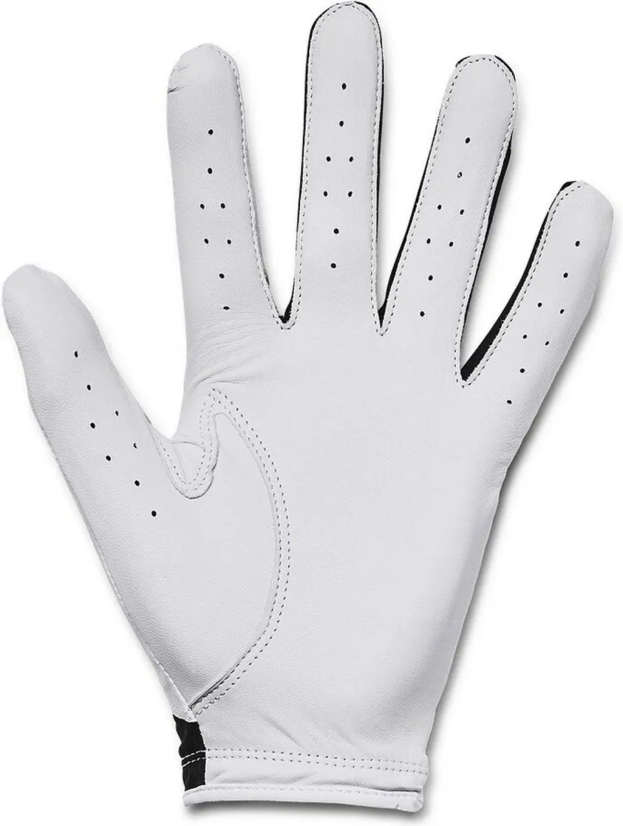 Under Armour Heren Golfhandschoen Iso Chill L - Wit/Zwart