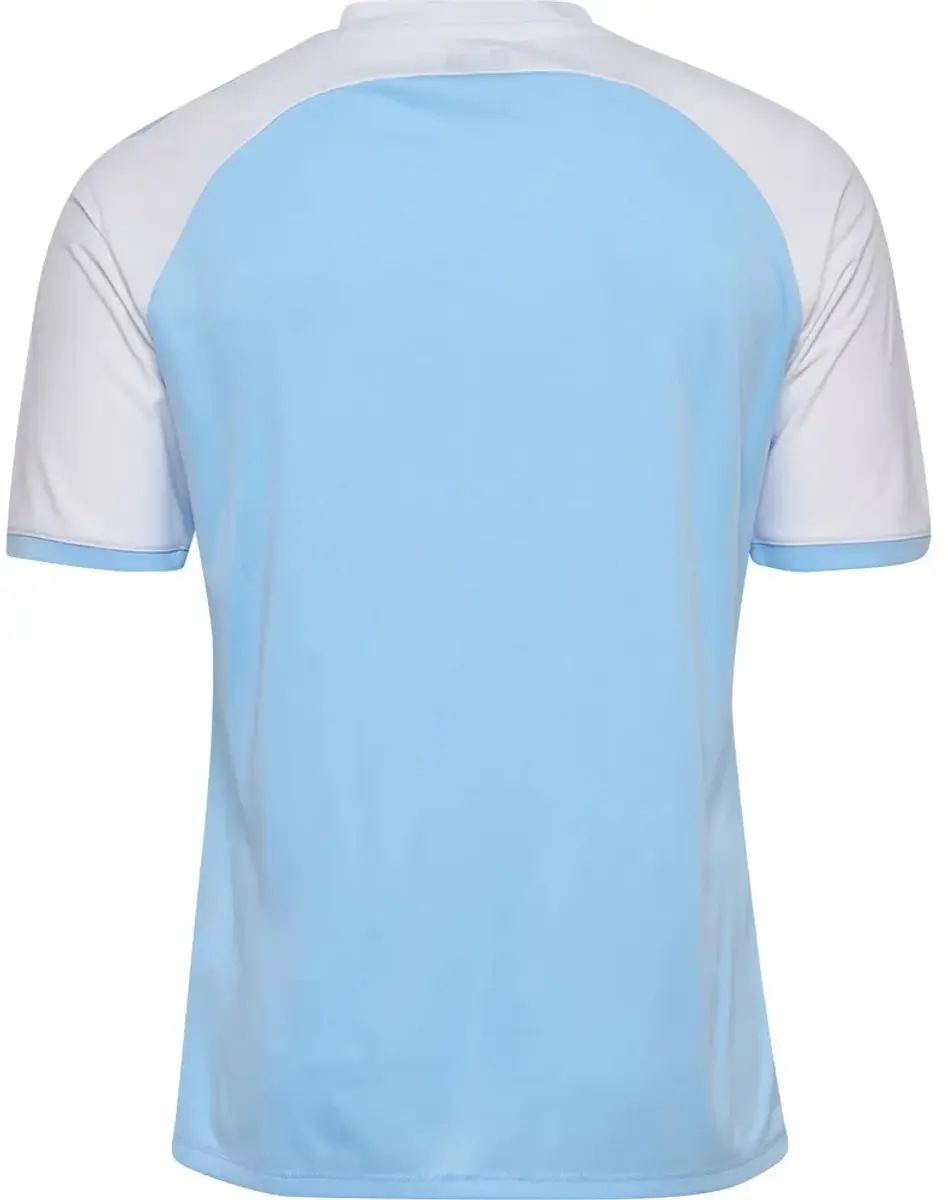 Hummel Match League Jersey S/S 233153 - S - Argentina Blauw/Wit