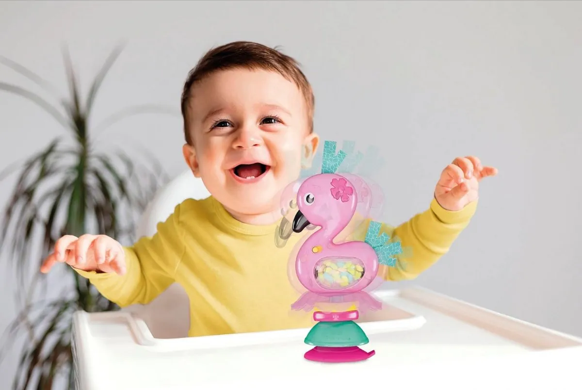 Clementoni Baby Rammelaar Roze - Educatief speelgoed