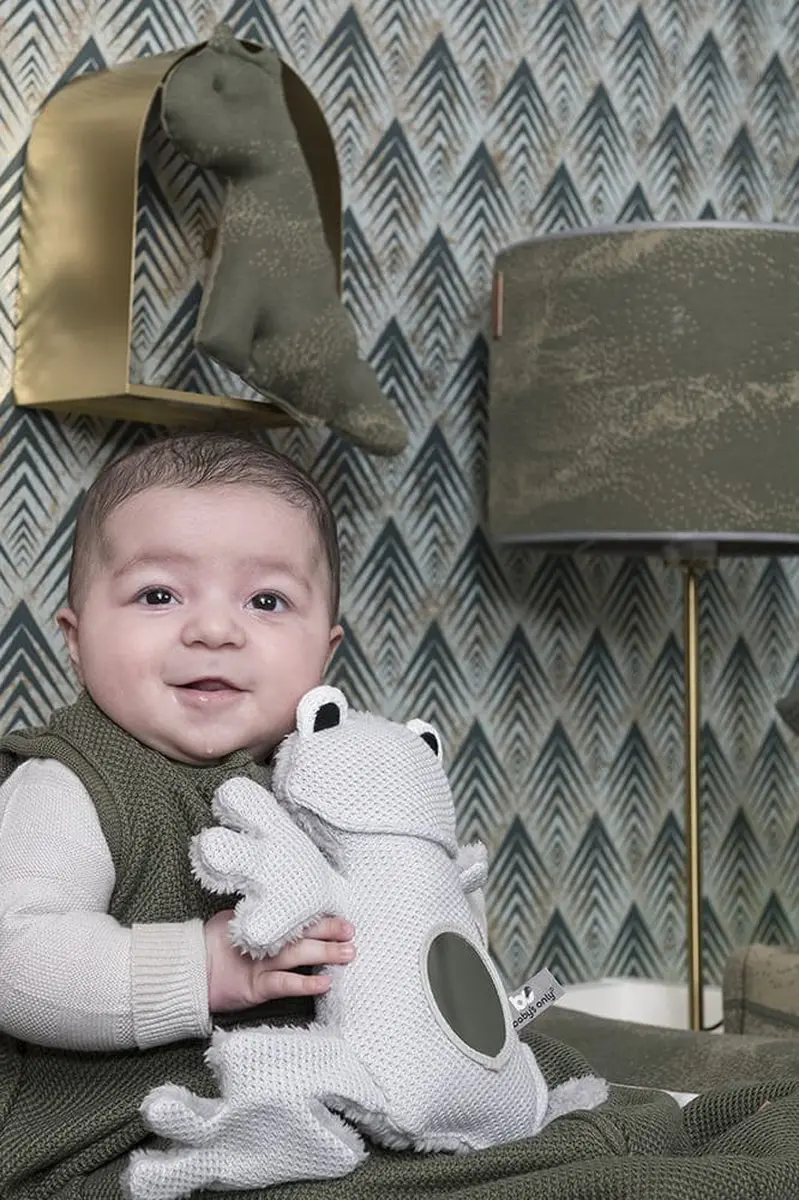 Baby's Only Knuffel Kikker - Zilvergrijs