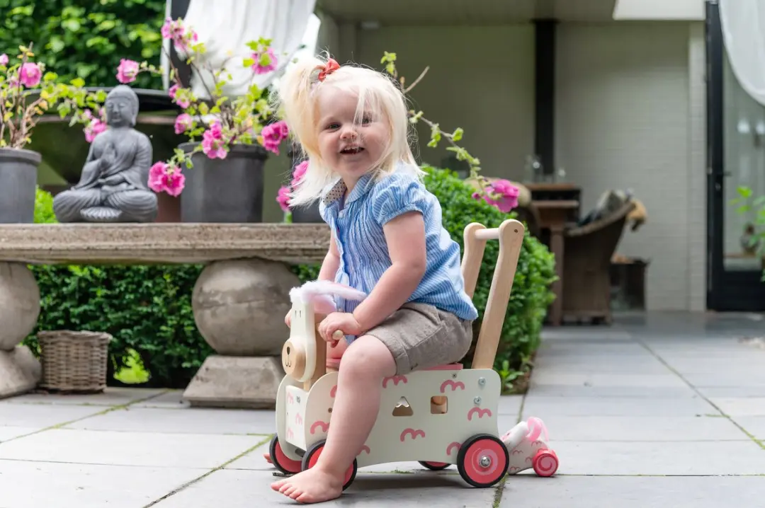 I'm Toy Konijn Loop/Duwwagen