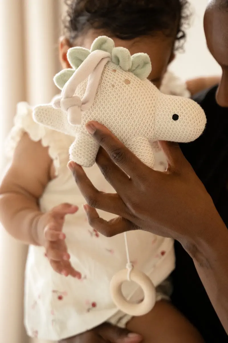 Baby's Only Muziekdoos Dino Animals - Laurel Green/Warm Linen